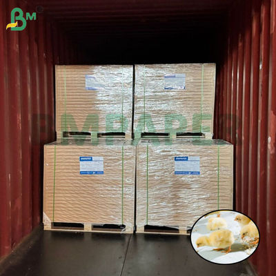 Bảng giấy nuôi gà trắng Bảng giấy gà nuôi gia cầm 66cm 100cm