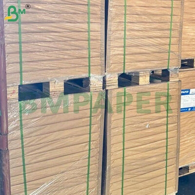 Giấy nến chịu dầu 50gsm dùng cho thực phẩm, dạng cuộn, khổ 787mm