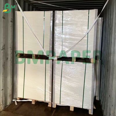 Đĩa ăn tráng PET, chất liệu giấy, màu trắng, khay đựng thức ăn bằng giấy