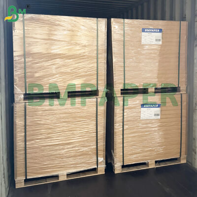 Microwave - giấy an toàn thực phẩm cho đĩa giấy, cốc chống cắt