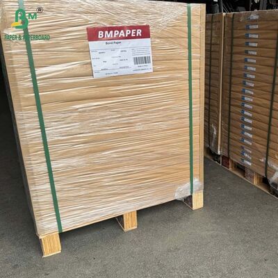 250gm 300gm 350gm 400gm Băng giấy trắng sáng không phủ Bristol Board