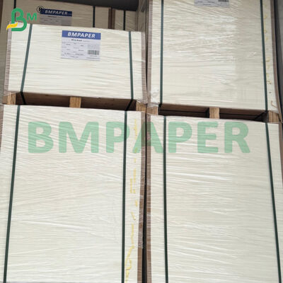 Giấy Offset 100gsm, Giấy không gỗ, 500 tờ/ram