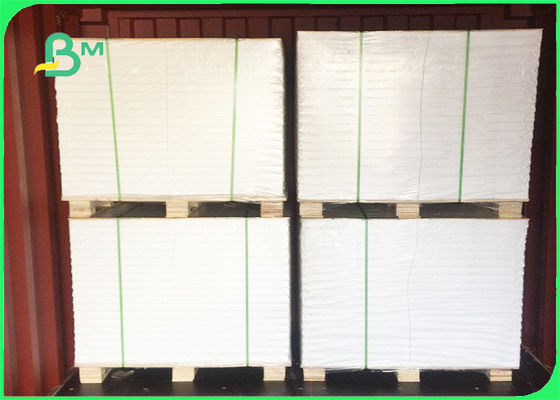 Giấy cuộn thực phẩm trắng 50 - 60gsm Giấy gói thực phẩm trong vật liệu bền vững