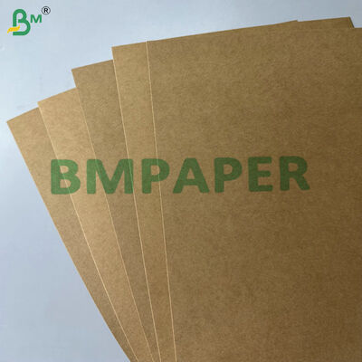 Giấy bìa đựng thực phẩm PE PP tráng chống dầu & chống rò rỉ 300–330gsm dùng sản xuất hộp mang đi, khay & hộp cơm trưa