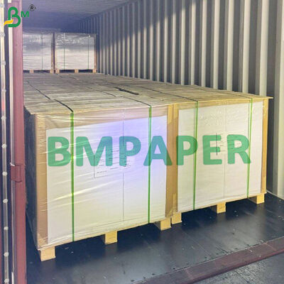 Giấy bìa tráng PET chịu nhiệt cho cốc, bát dùng trong lò nướng