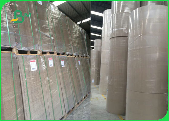 FSC Bảng màu bìa cứng khác nhau Bảng bìa cho tập tin Lever Arch