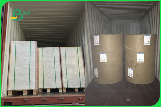 FSC FDA Thực phẩm trắng An toàn Bảng FBB 15g Giấy tráng PE để làm cốc tùy chỉnh