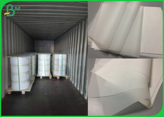 Hấp thụ mực tốt Cuộn giấy truy xuất 50gr 55gr Có hỗ trợ chứng nhận FSC