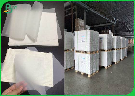 93 x 1124mm 73gsm 83gsm 90gsm Giấy truy tìm xuyên sáng để làm máy tính xách tay