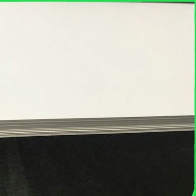 230GSM - 400GSM Bảng giấy ngà một mặt cho bao bì công nghiệp