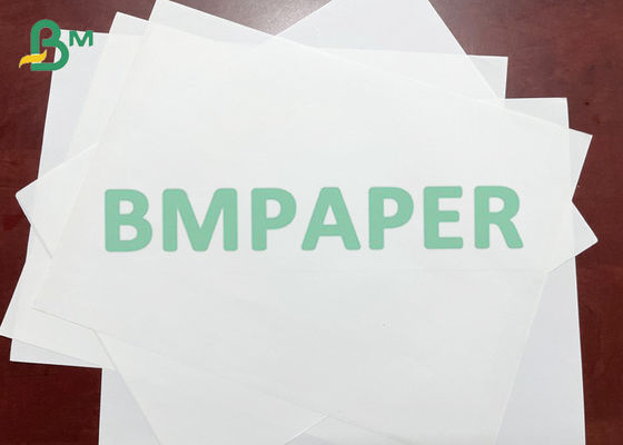 Giấy chống thấm thân thiện với môi trường 200 um trong tờ cho túi mua sắm