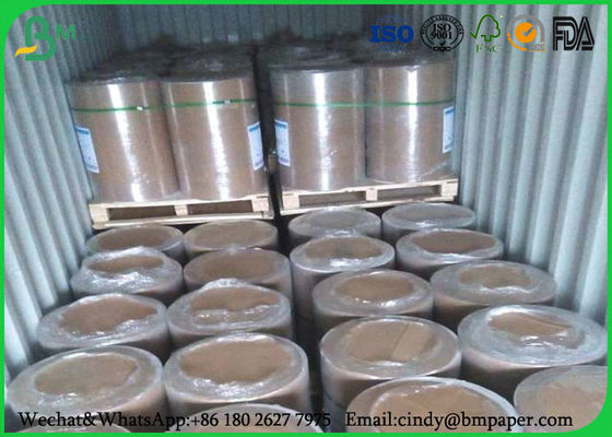 Trinh bột giấy trắng Jumbo cuộn giấy dày 55gsm chiều rộng 594mm cho hộp giấy