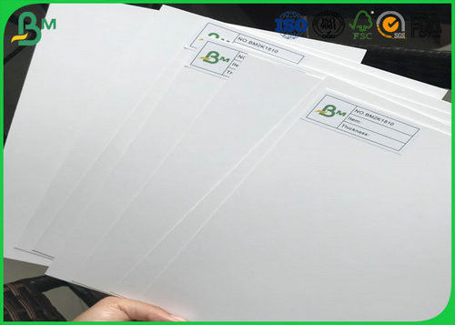 FSC Cấp Giấy Chứng Nhận 200 gam 250 gam 300 gam 350 gam Một Bên Tráng Ngà Ban Giấy Cho In Ấn Name Cards
