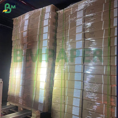 Bảng giấy nuôi gà trắng Bảng giấy gà nuôi gia cầm 66cm 100cm