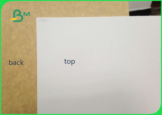 450gsm FSC chứng nhận Clay tráng Kraft trở lại cấp thực phẩm giấy cuộn / giấy lót trắng để đóng gói