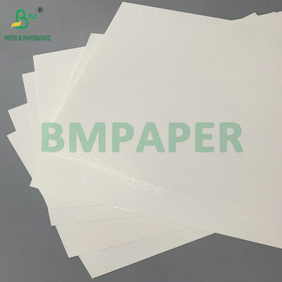 Giấy C1S SBS tráng một mặt 12pt dùng cho bao bì thuốc lá