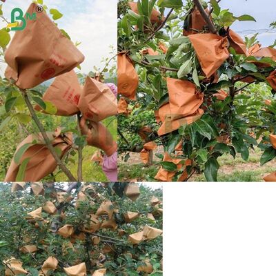Giấy bao trái cây bên ngoài màu đỏ để bọc táo, Giấy bao táo không tráng sáp 56gsm