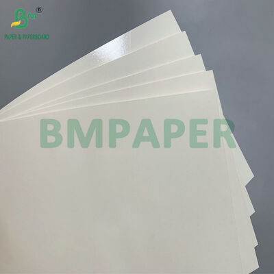 Giấy thực phẩm tráng PET 250g 280g chống thấm dầu để làm hộp cơm