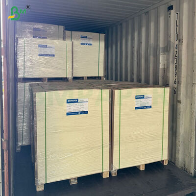 Giấy Couche bóng C2S có độ cứng cao 300 310 320gsm