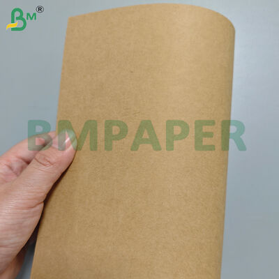 Giấy đế bát cứng 190gsm+10gsm tráng PE