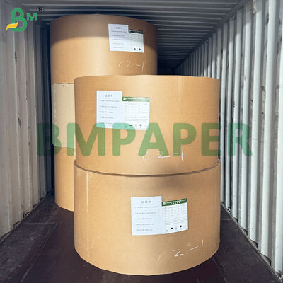 Đĩa ăn tráng PET, chất liệu giấy, màu trắng, khay đựng thức ăn bằng giấy