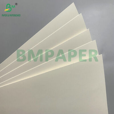 Bảng giấy an toàn phân hủy sinh học và vi sóng để làm chén dùng một lần cho salad