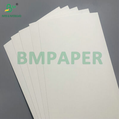 Bảng giấy an toàn phân hủy sinh học và vi sóng để làm chén dùng một lần cho salad