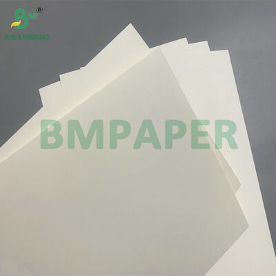 Bảng giấy an toàn phân hủy sinh học và vi sóng để làm chén dùng một lần cho salad