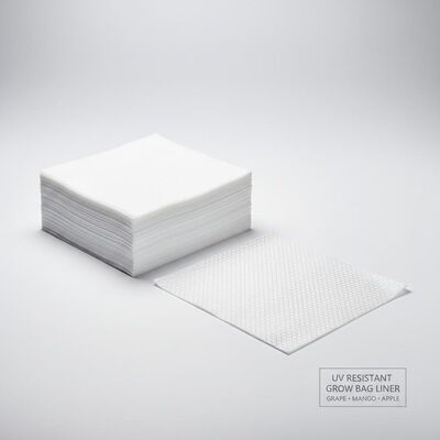 UV chống cự nho Mango Apple Grow Bagging giấy Layer Liner bên trong