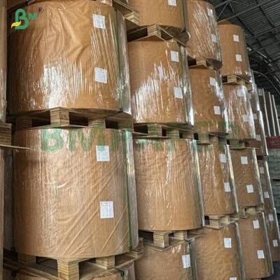 Giấy chống dính silicone chịu dầu 40gsm dùng cho nấu ăn