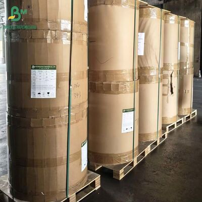 40gr 45gr 50gr Bộ làm trắng 5 Kit 7 Chất chống mỡ Paper Craft Reel 60cm 70cm