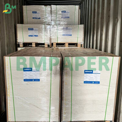 Microwave - giấy an toàn thực phẩm cho đĩa giấy, cốc chống cắt