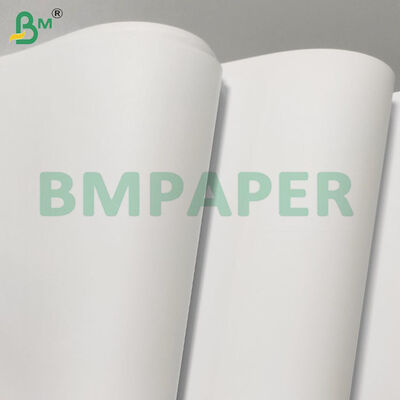 70/80gsm Giấy không gỗ Cuộn Jumbo In tốt cho Sổ bài tập