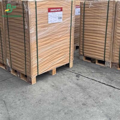 250gm 300gm 350gm 400gm Băng giấy trắng sáng không phủ Bristol Board