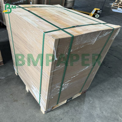 Giấy lót khay nướng và hấp bằng giấy nến cho lò vi sóng