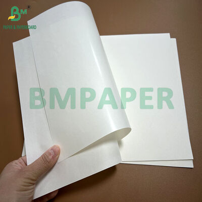 Giấy Kraft tráng 1 mặt tráng men trắng 60gsm 70gsm cho bao bì đường kính 60cm 72cm