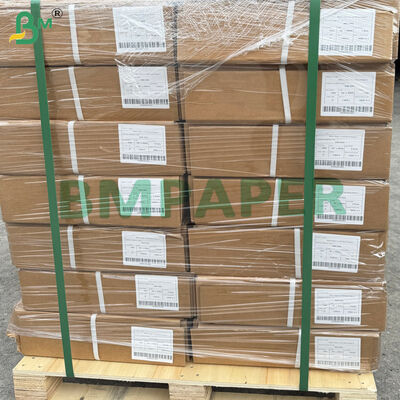 Bright Blue Color Dual Sided Paper Roll 80gsm for Architectural