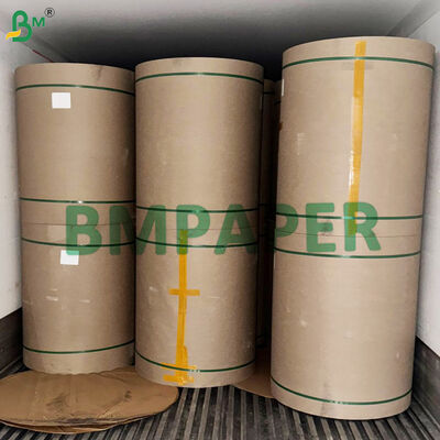 Uncoated 250gsm High Porosity Freshness Keeping Card Base Stock