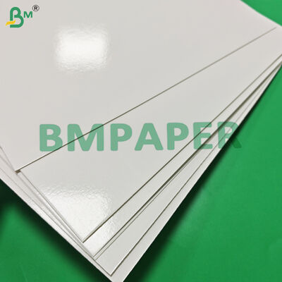 295gm + 15g PE giấy đông lạnh