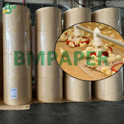 70gm 80gm giấy gà nâu cho trang trại gia cầm, cuộn giấy chống nước