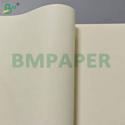 80gm Cream Color Book giấy cuộn 715mm chiều rộng để in