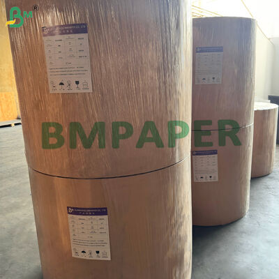 Giấy tráng PE 260gsm + 15g chống rò rỉ cho tô mì ăn liền chống dầu