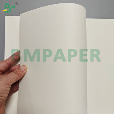 280gsm Single Side PE Coated Bowl Stock Paper Sheets Food Safe