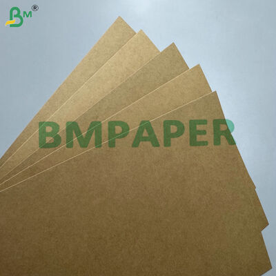 Giấy bìa đựng thực phẩm PE PP tráng chống dầu & chống rò rỉ 300–330gsm dùng sản xuất hộp mang đi, khay & hộp cơm trưa