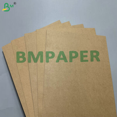 Giấy bìa đựng thực phẩm PE PP tráng chống dầu & chống rò rỉ 300–330gsm dùng sản xuất hộp mang đi, khay & hộp cơm trưa