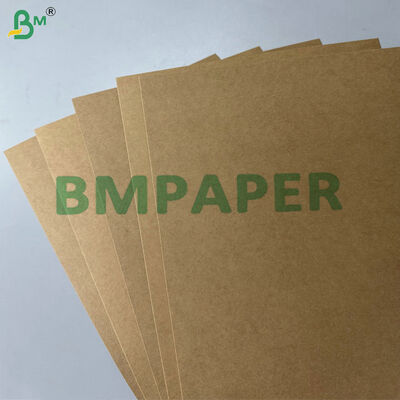 Giấy bìa đựng thực phẩm PE PP tráng chống dầu & chống rò rỉ 300–330gsm dùng sản xuất hộp mang đi, khay & hộp cơm trưa