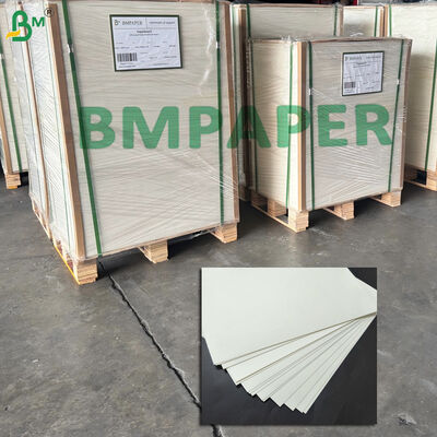 Single Sided Water Base Coated Cupstock Plastic Free 170-320g White