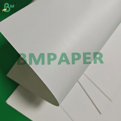Giấy Cupstock Tráng Một Mặt 170gsm 190gsm Phân hủy sinh học 650mm