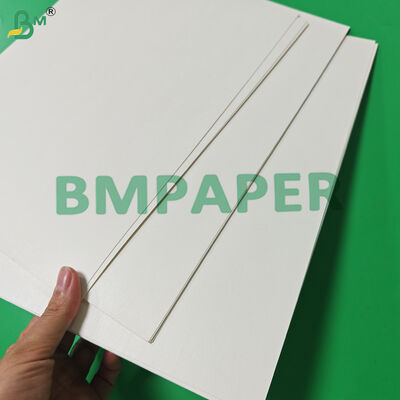 Giấy Cupstock Tráng Một Mặt 170gsm 190gsm Phân hủy sinh học 650mm