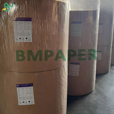 Giấy Cupstock Tráng Một Mặt 170gsm 190gsm Phân hủy sinh học 650mm